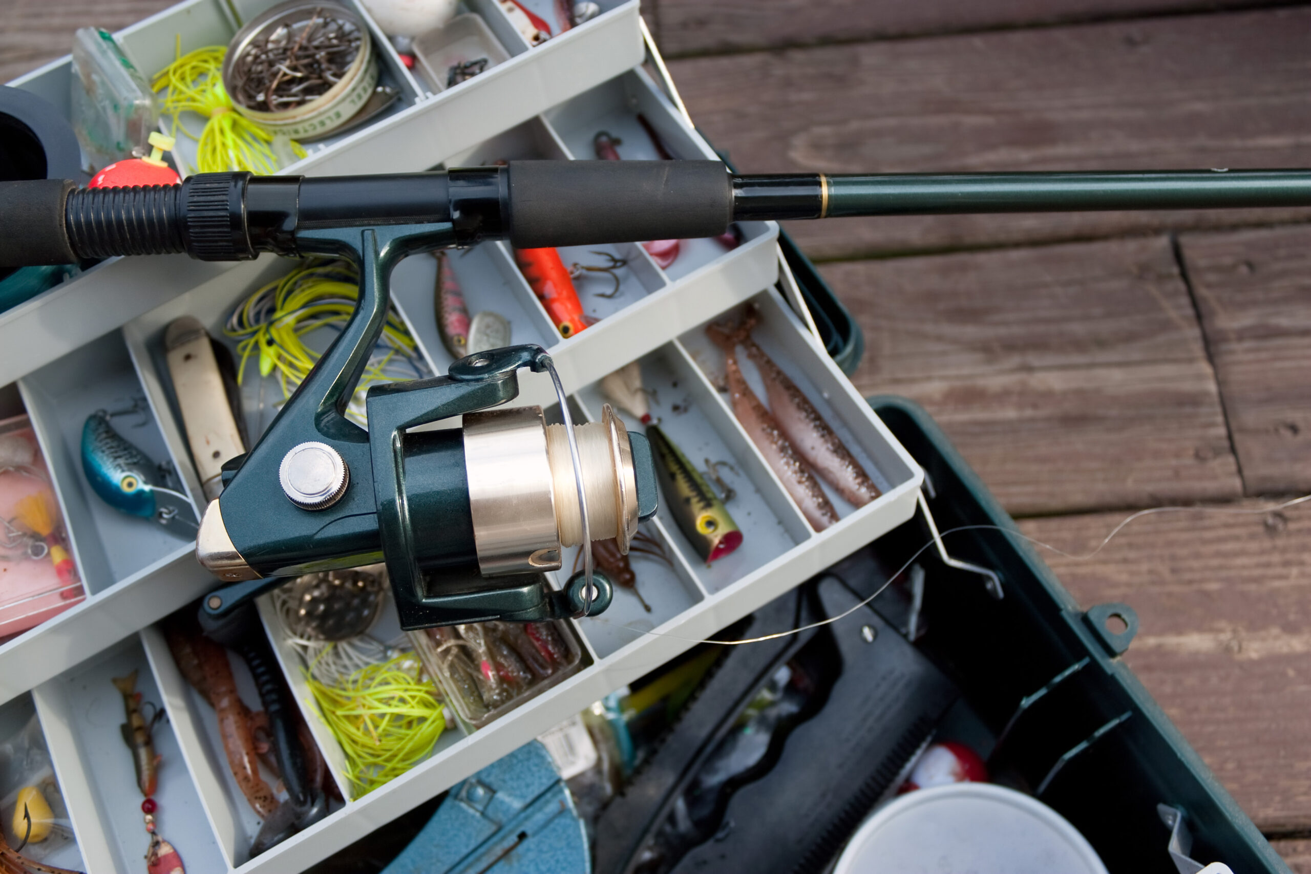 Mastering the Art of Selection: How to Pick the Best Fishing Bait