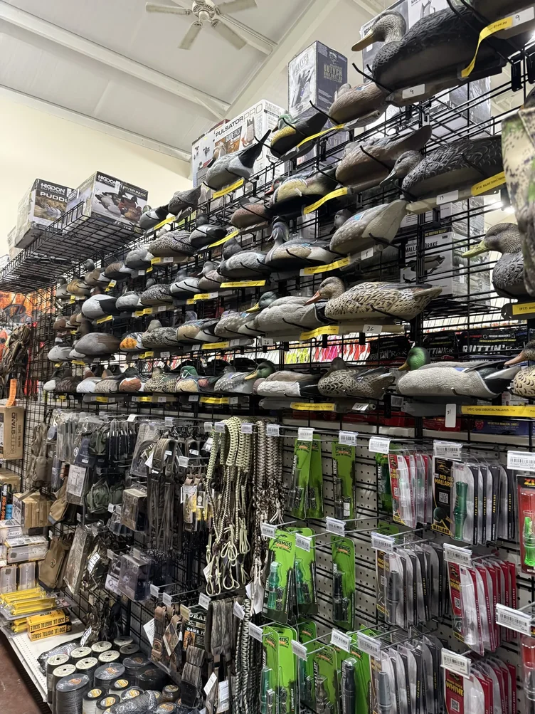 Duck and turkey decoys for sale at Irby Street Sporting Goods, Florence SC
