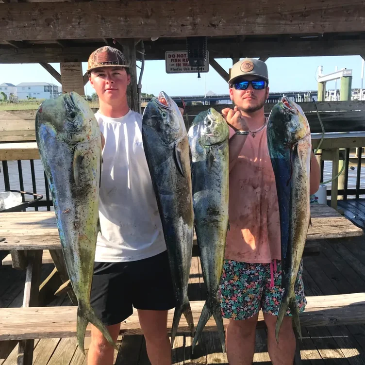 Mahi-mahi catch, customer photo from Irby Street Sporting Goods, Florence SC